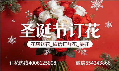 衡阳雁峰区花店送花_微信订鲜花_圣诞节订花_最好? 衡阳雁峰区花店